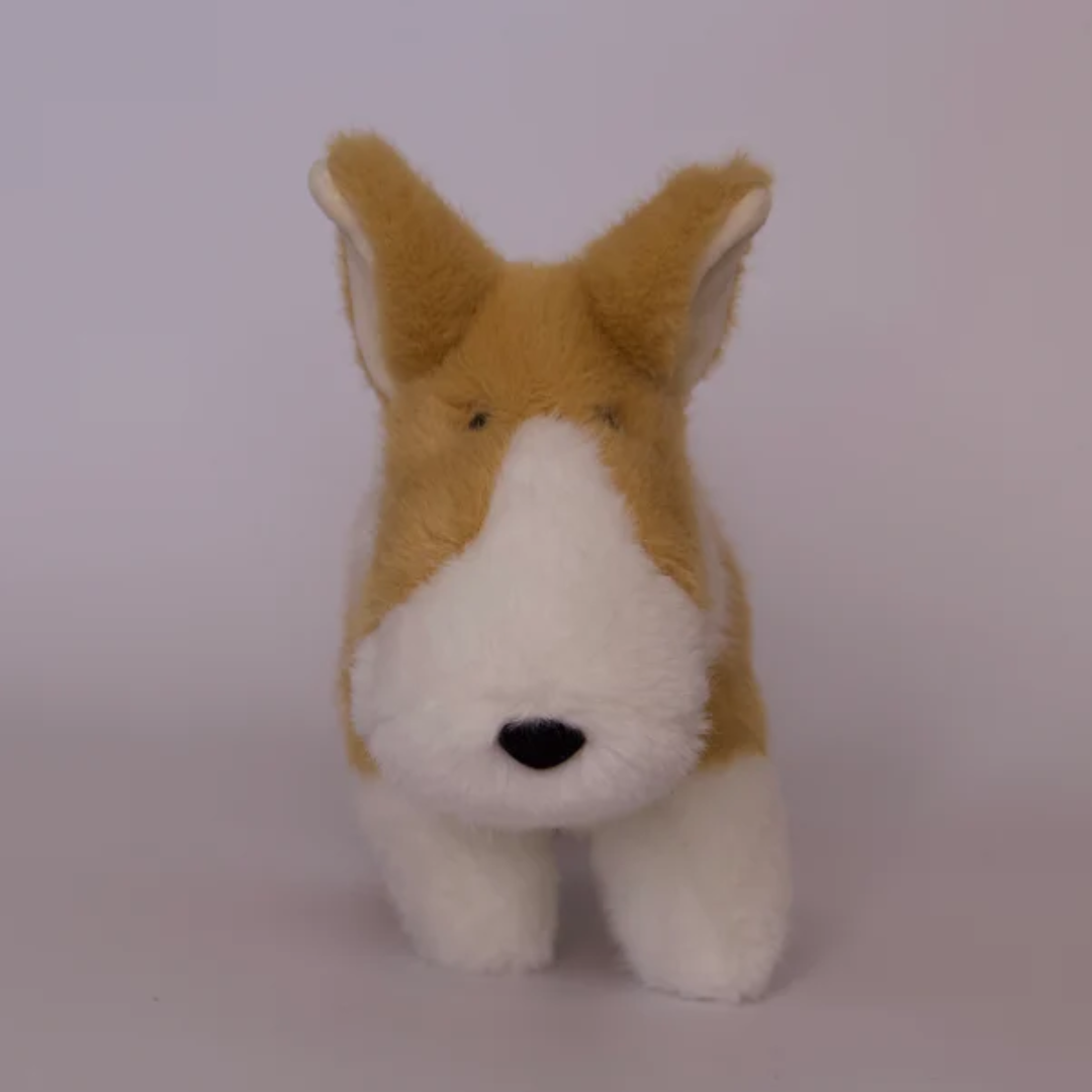 Carl Corgi Muzzle Lg - Raymond's Hallmark
