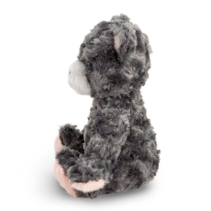 Feeling Grateful Plush Bear - Raymond's Hallmark