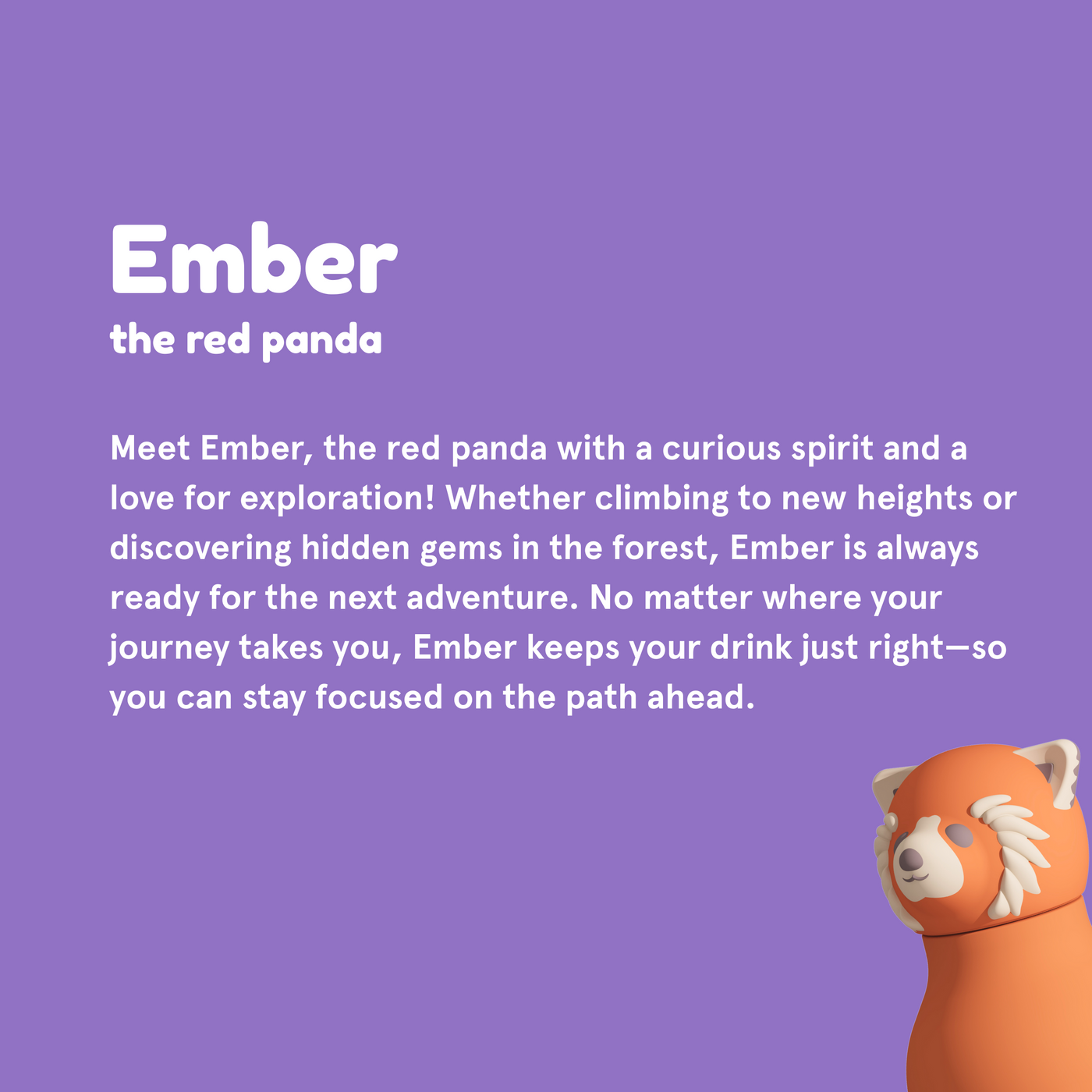 Vacuum Insulated Water Bottle Red Panda - Raymond's Hallmark