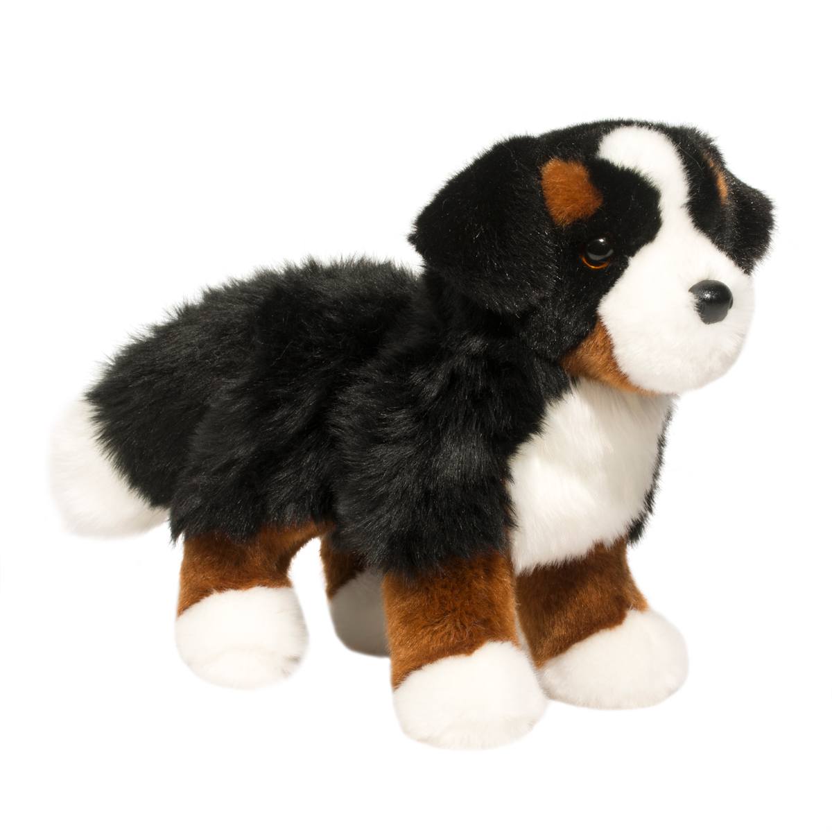 Stevie Bern Mt Dog - Raymond's Hallmark
