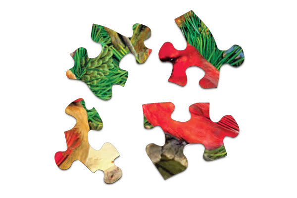 Feathered Retreat 1000 Piece Jigsaw Puzzle - Raymond's Hallmark