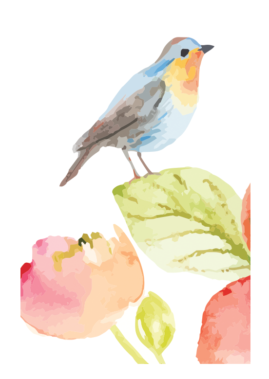 Watercolor Bird Smart Cloth - Raymond's Hallmark