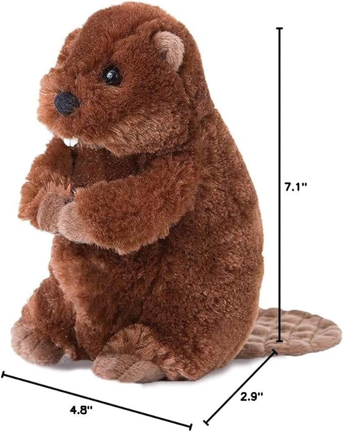 Buddy Beaver - Raymond's Hallmark