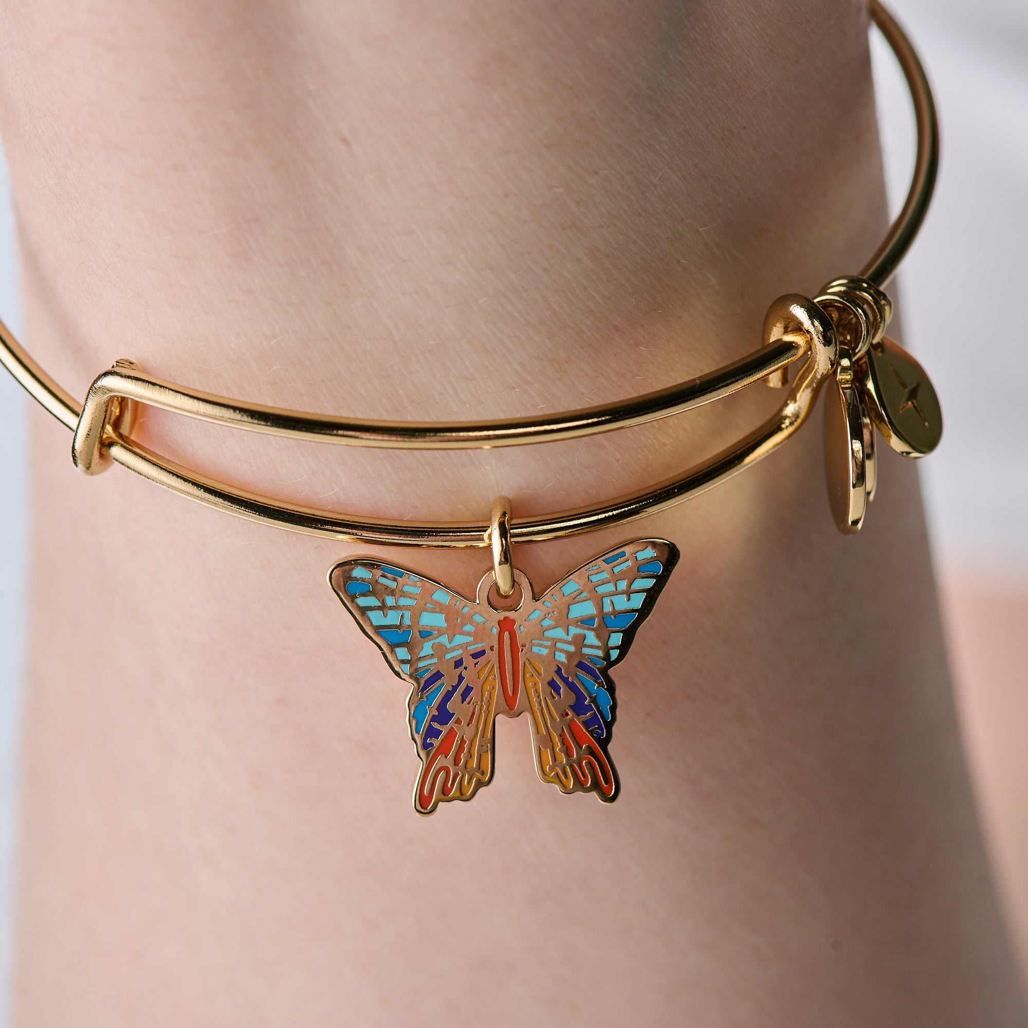 Chrysiridia Rhipheus Butterfly Gold - Raymond's Hallmark