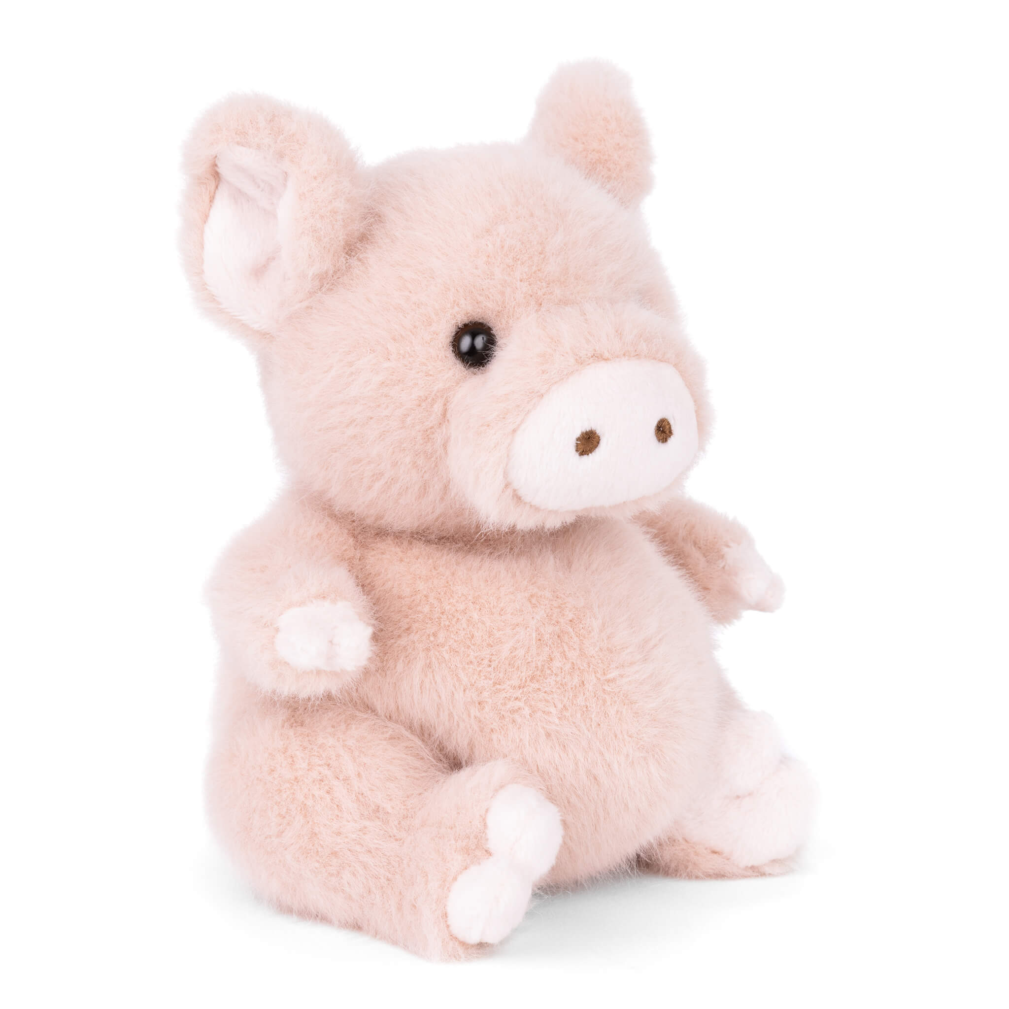 Baby Oink - Raymond's Hallmark