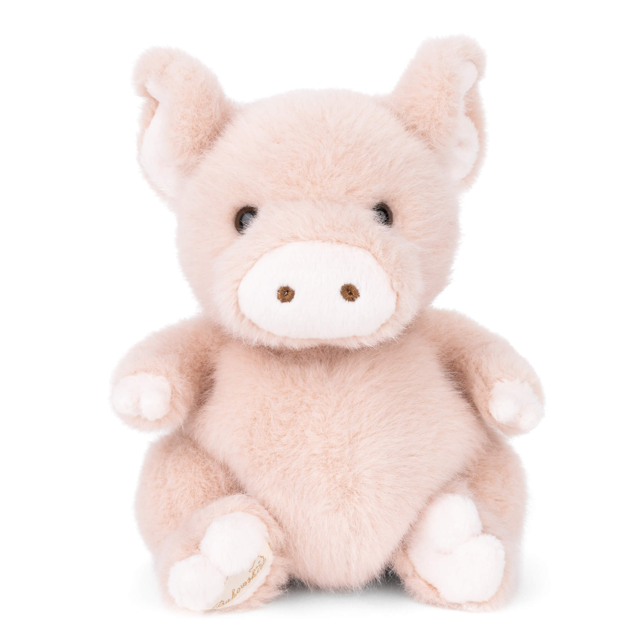Baby Oink - Raymond's Hallmark