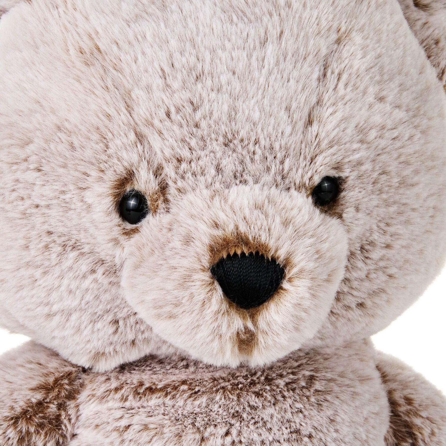 Bear Plush - Raymond's Hallmark