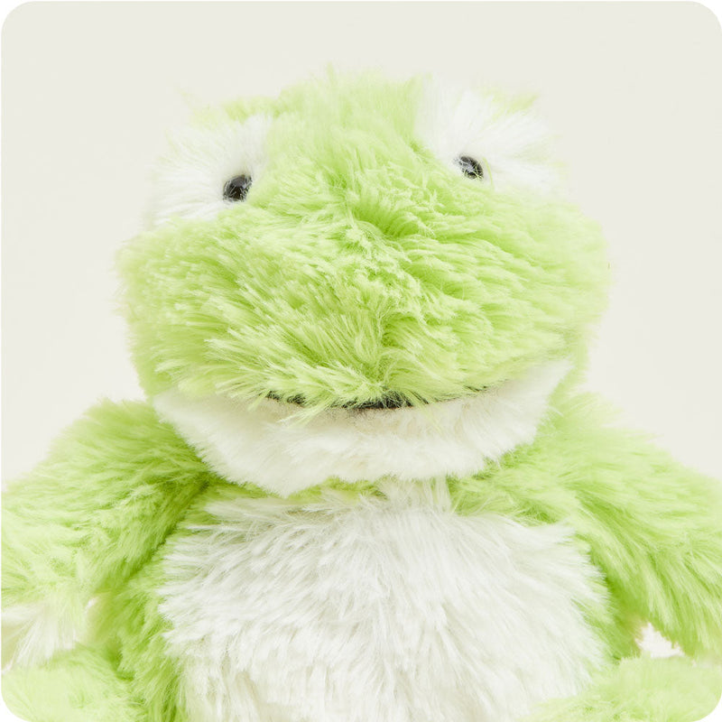 Frog Junior Warmies - Raymond's Hallmark