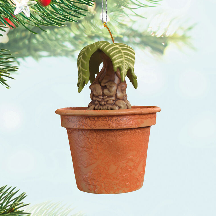 Mandrake Ornament - Raymond's Hallmark
