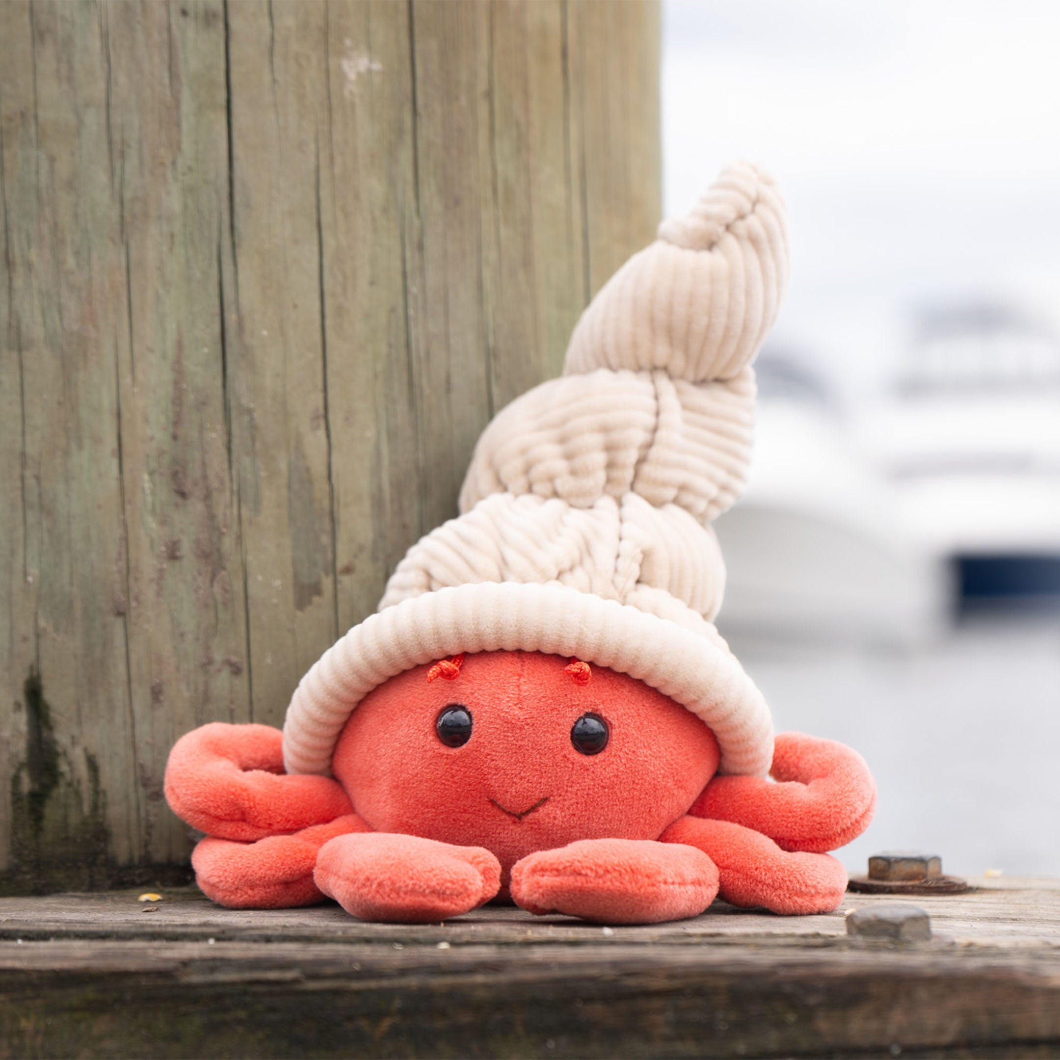 Hermit the Crab - Raymond's Hallmark