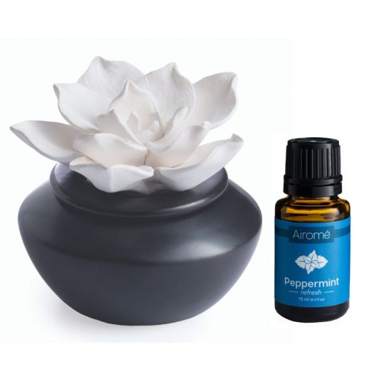 Porcelain Aroma Diffuser Gardenia with Peppermint Oil - Raymond's Hallmark