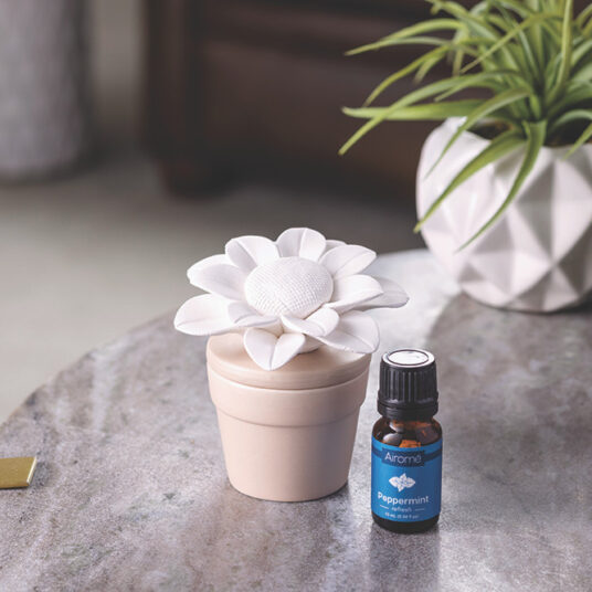 Porcelain Aroma Diffuser Sunflower with Peppermint Oil - Raymond's Hallmark