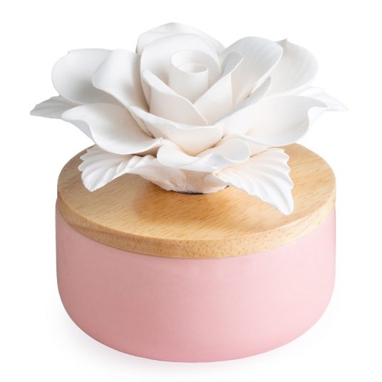 Porcelain Aroma Diffuser Bloom with Eucalyptus Oil - Raymond's Hallmark