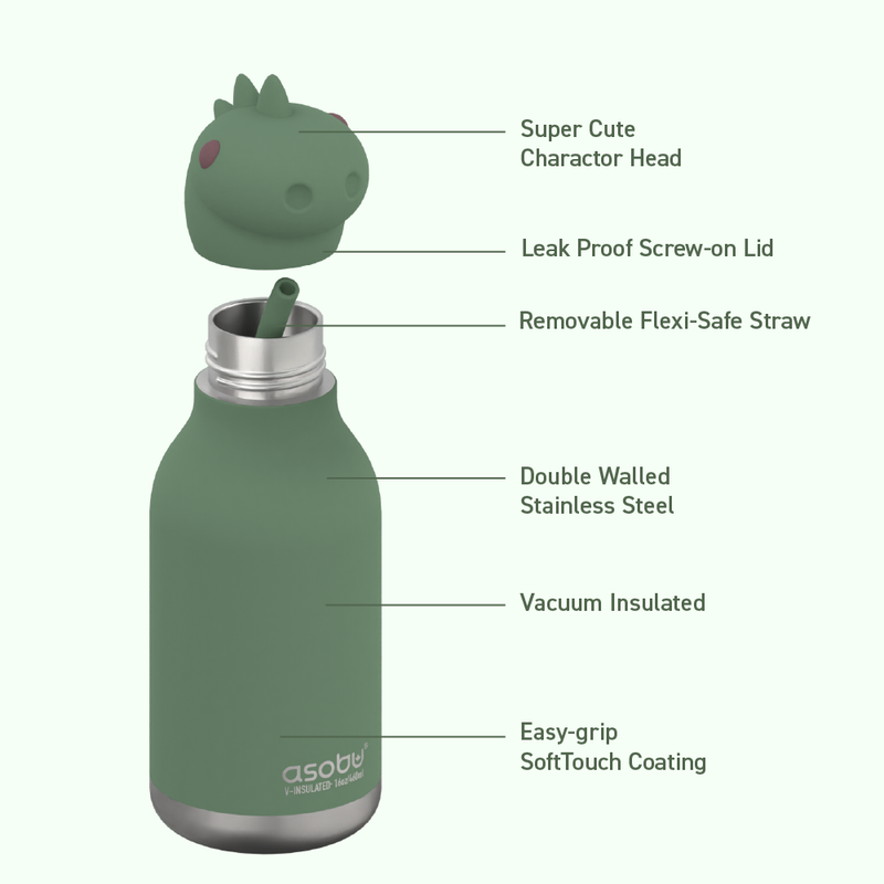 Vacuum Insulated Water Bottle Dinosaur - Raymond's Hallmark