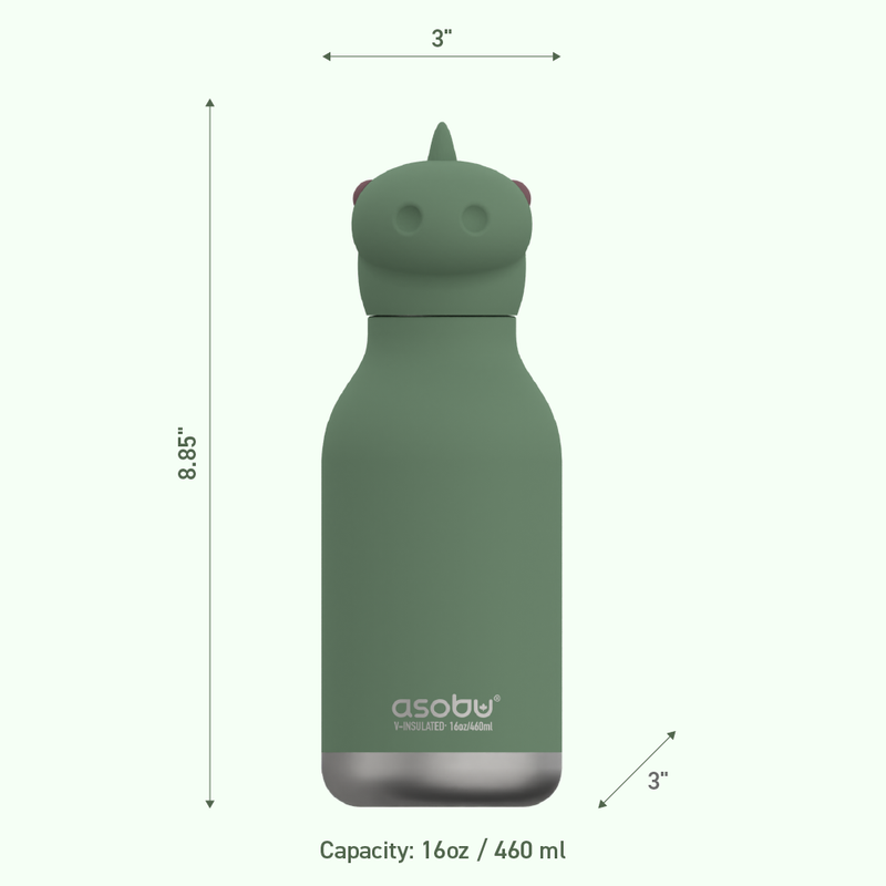 Vacuum Insulated Water Bottle Dinosaur - Raymond's Hallmark