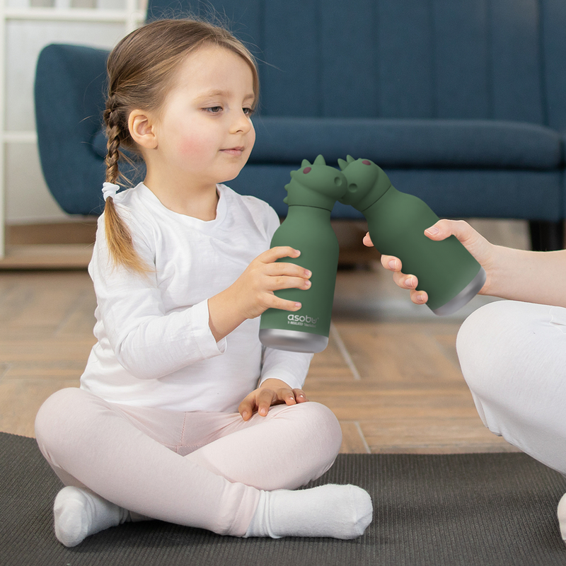 Vacuum Insulated Water Bottle Dinosaur - Raymond's Hallmark