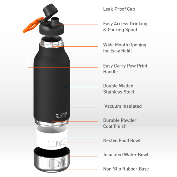 3-in-1 Ceramic Lined Bottle For You And Your Dog - Raymond's Hallmark