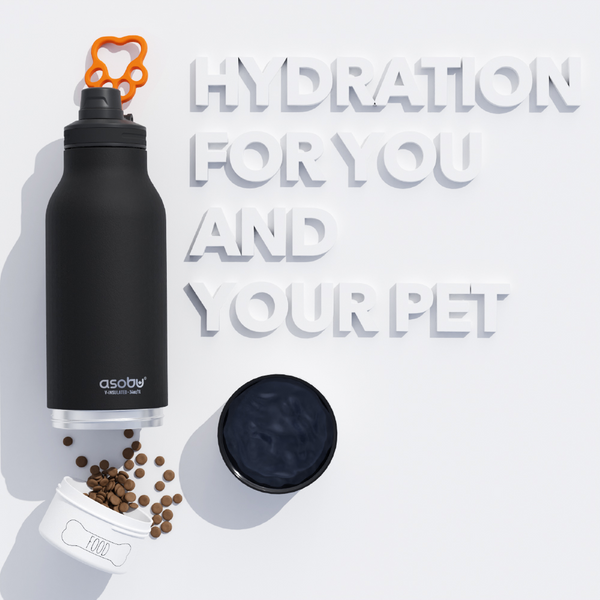 3-in-1 Ceramic Lined Bottle For You And Your Dog - Raymond's Hallmark