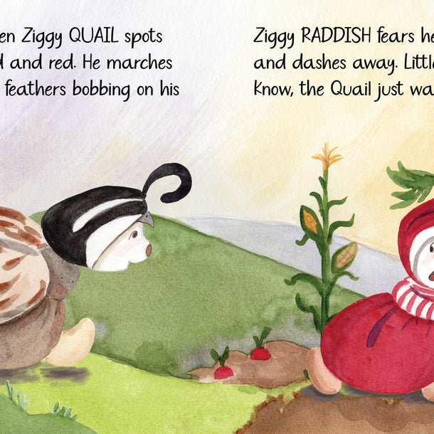 Z Is For Ziggy - Raymond's Hallmark