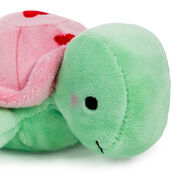 Zip-Along Turtle Plush Toy - Raymond's Hallmark