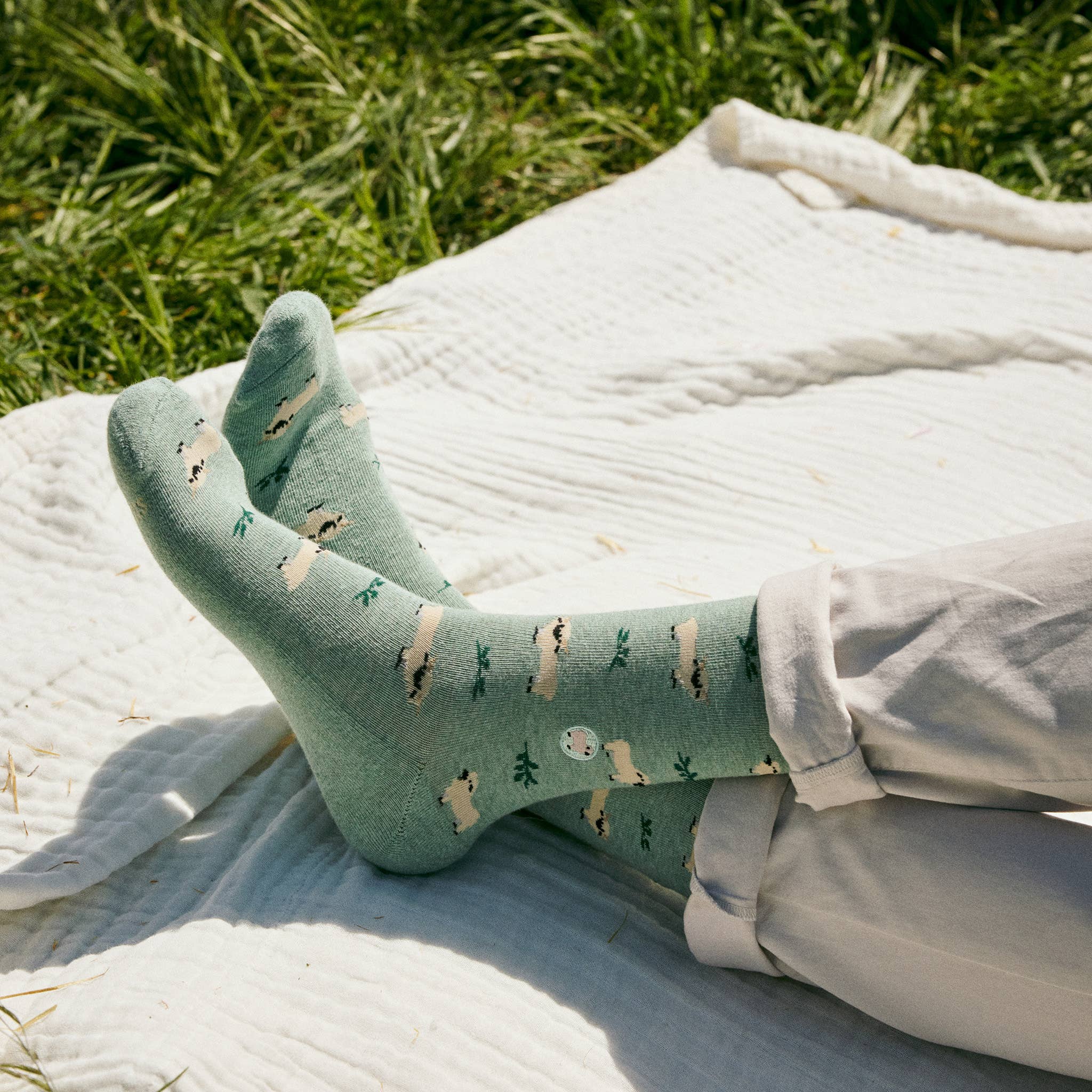 Socks that Save Sheep - Raymond's Hallmark