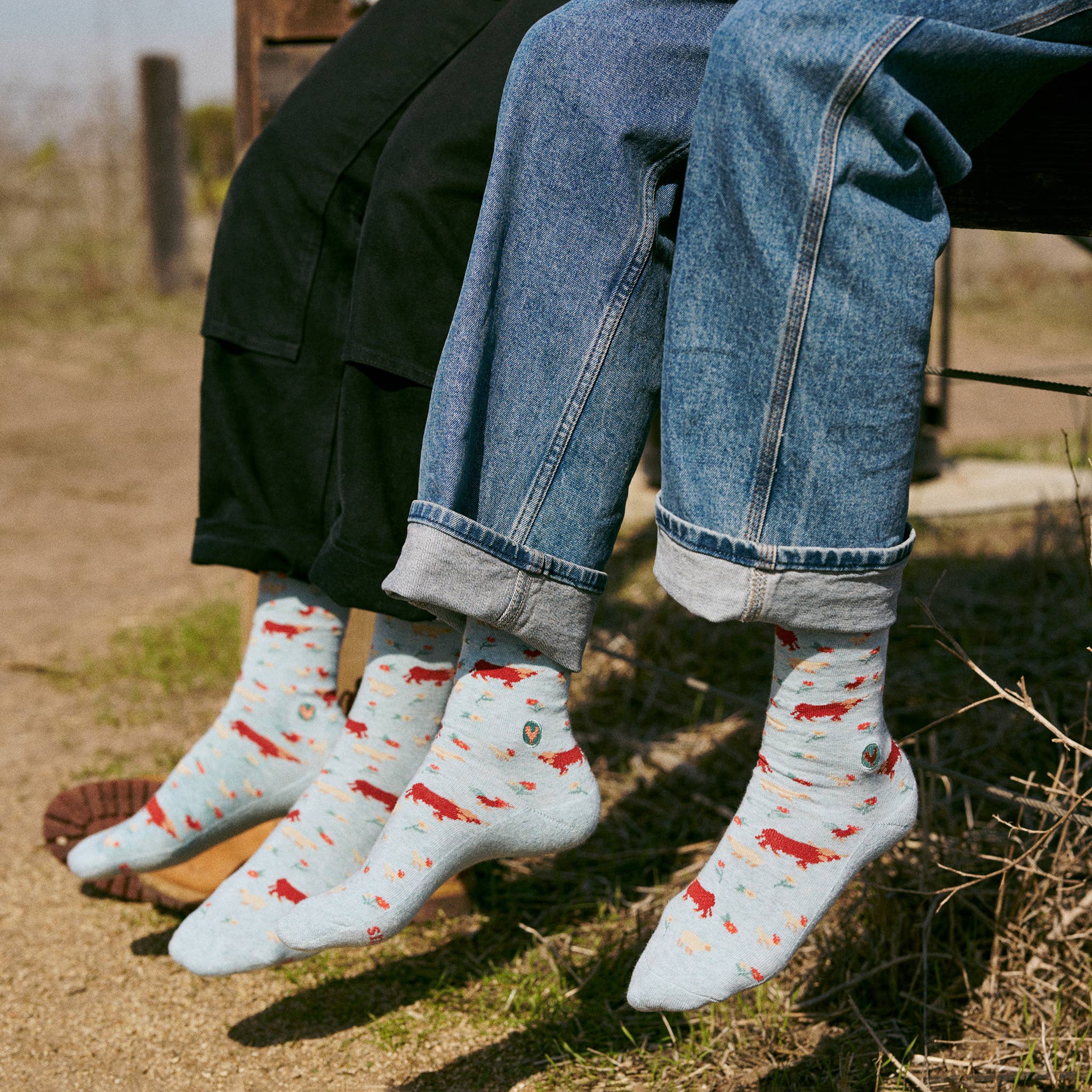 Socks that Save Farm Animals - Raymond's Hallmark