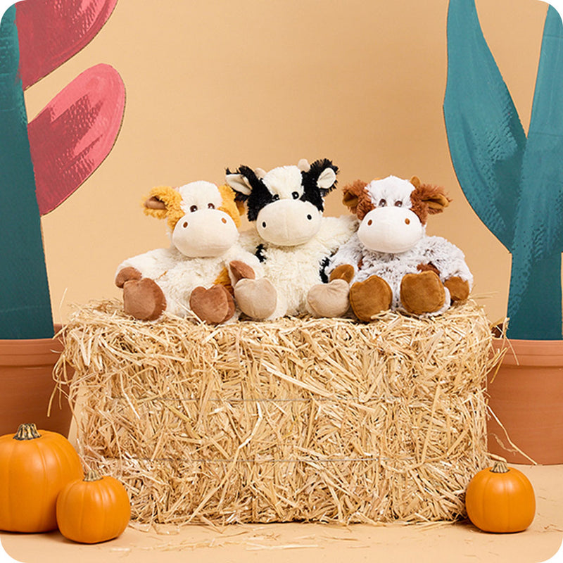 Pumpkin Spice Cow Warmies - Raymond's Hallmark