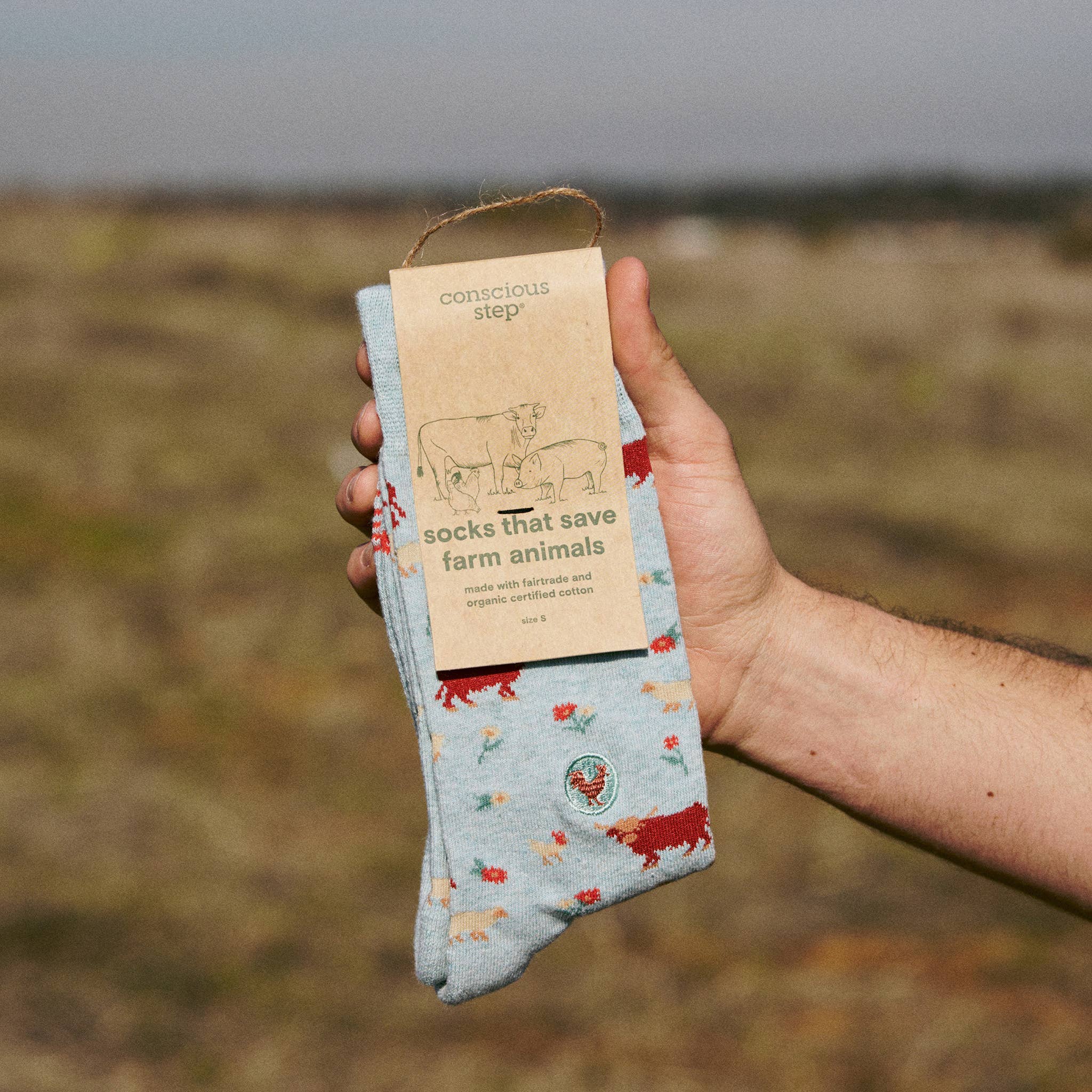 Socks that Save Farm Animals - Raymond's Hallmark