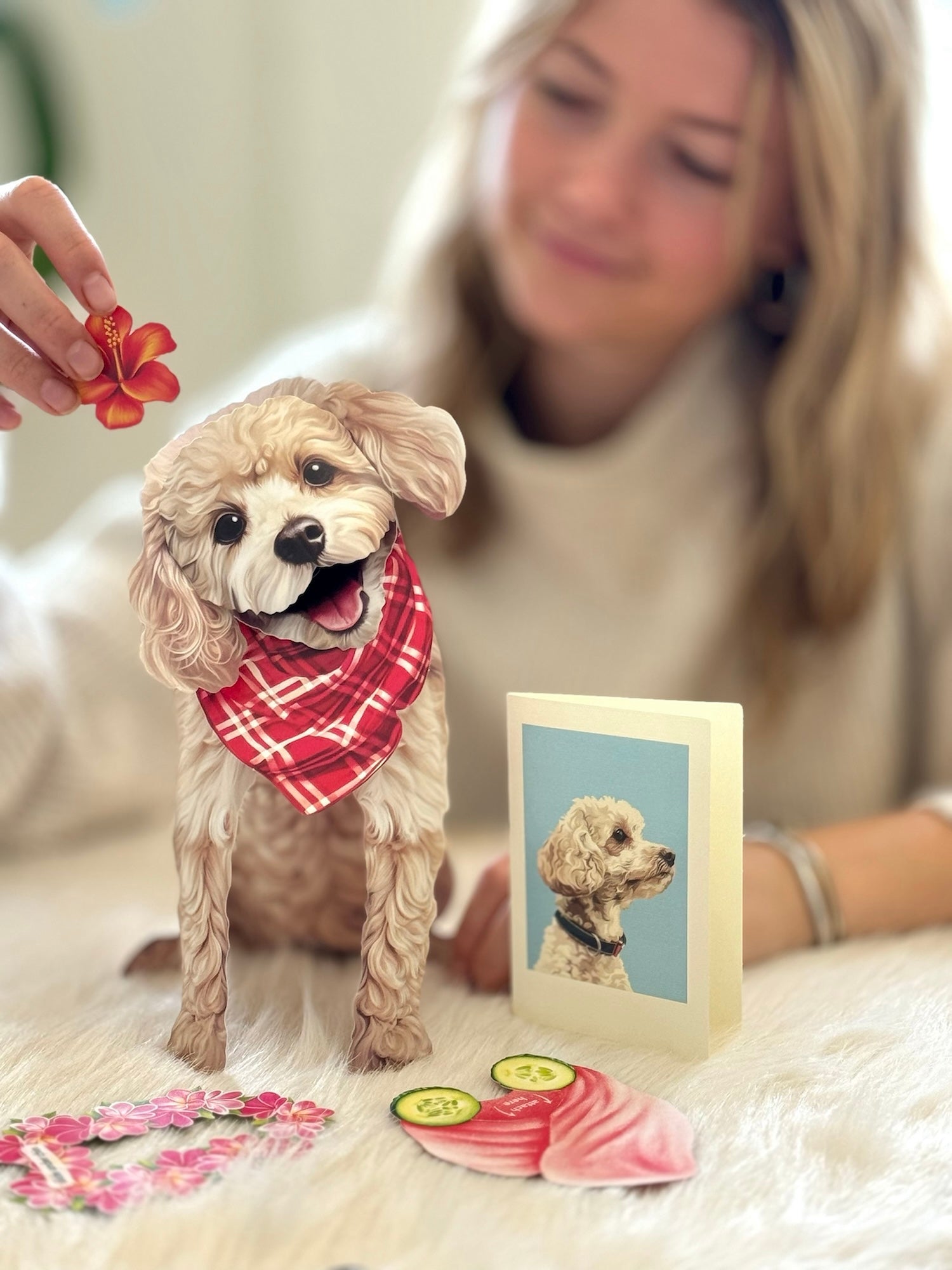 Poodle Pop-Up Pup - Raymond's Hallmark