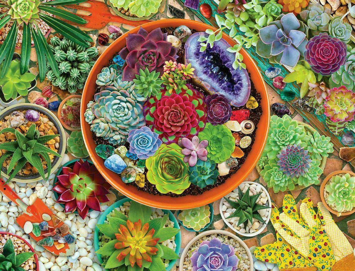 Succulent Garden - 500 - Raymond's Hallmark
