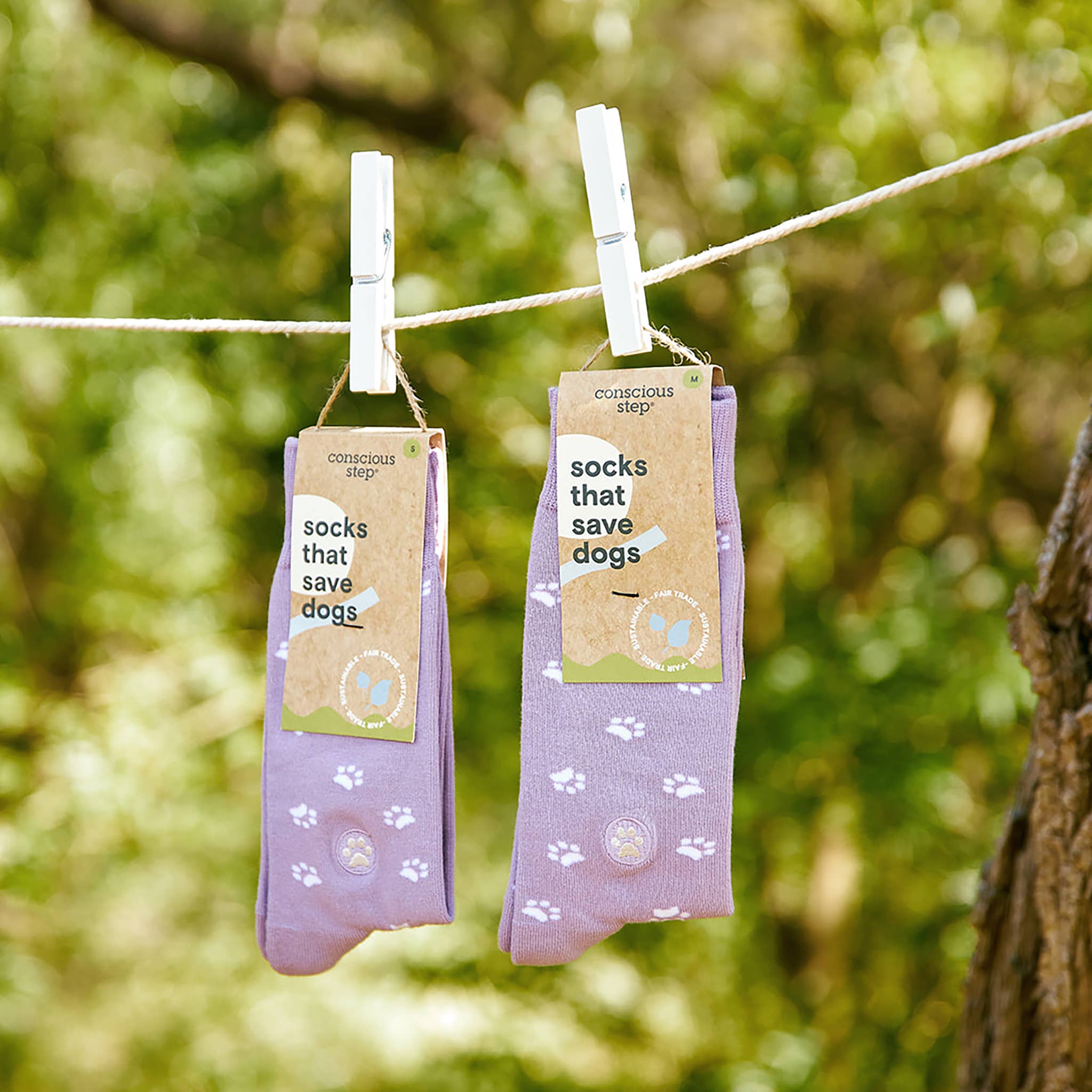 Socks That Save Dogs Medium Purple - Raymond's Hallmark