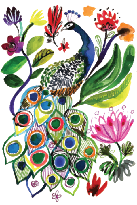 Peacock Park  Smart Cloth - Raymond's Hallmark