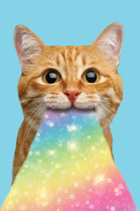 Cat Rainbow Smart Cloth - Raymond's Hallmark