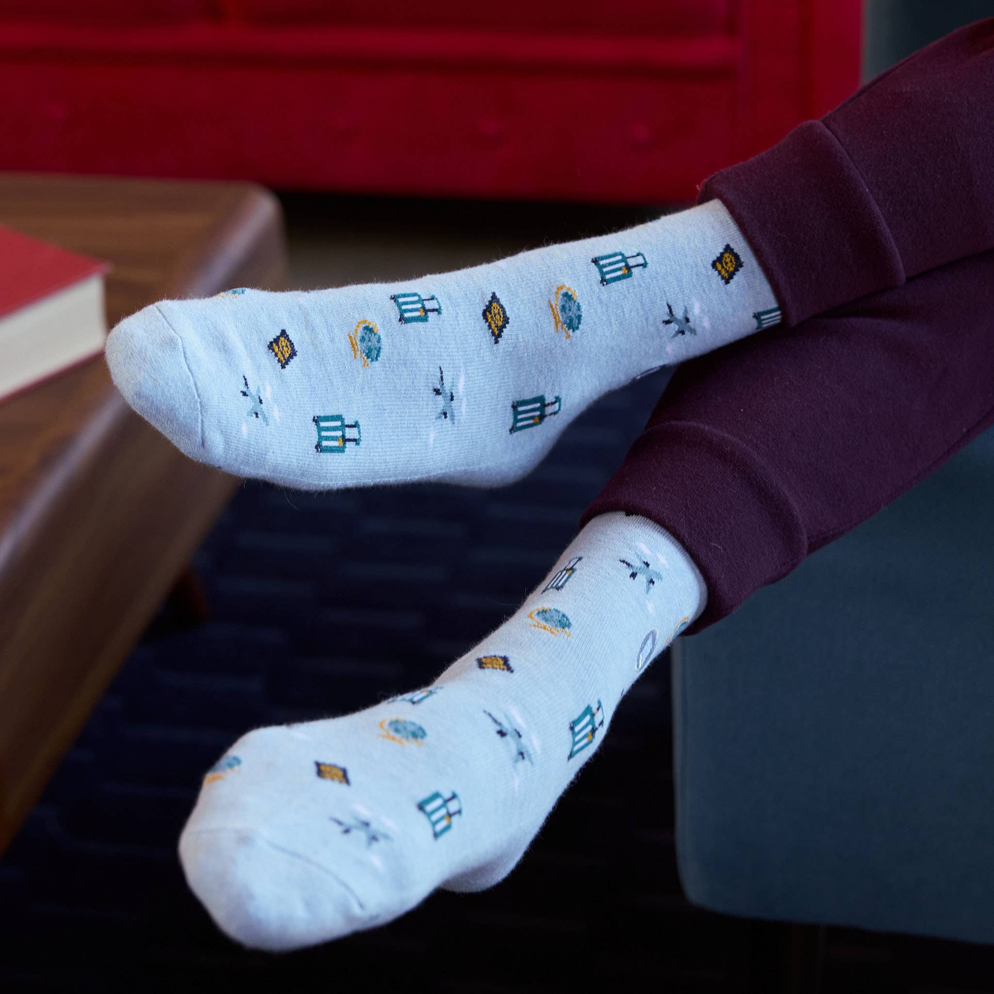 Socks that Give Books (Blue Travel) - Raymond's Hallmark