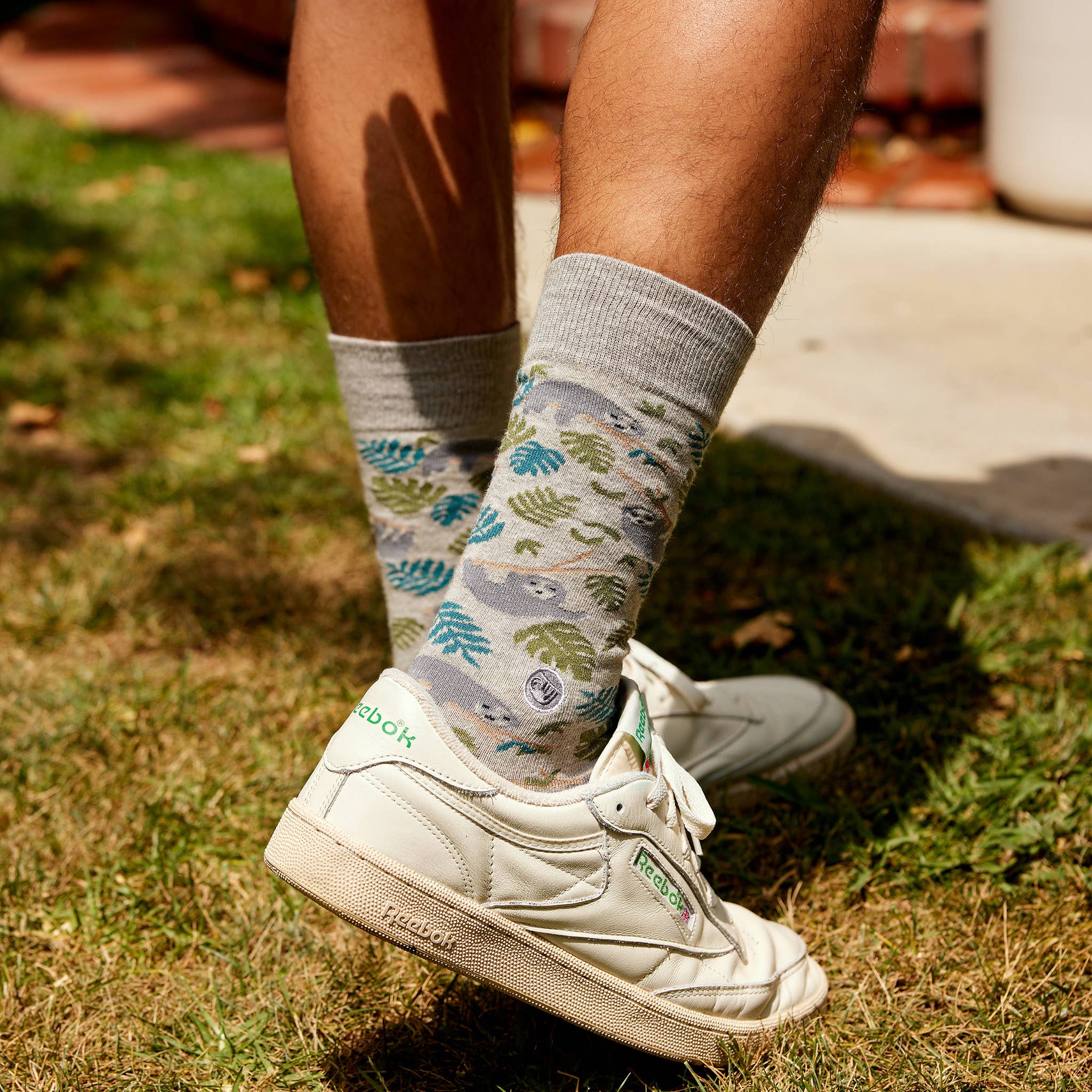 Socks that Protect Sloths - Raymond's Hallmark