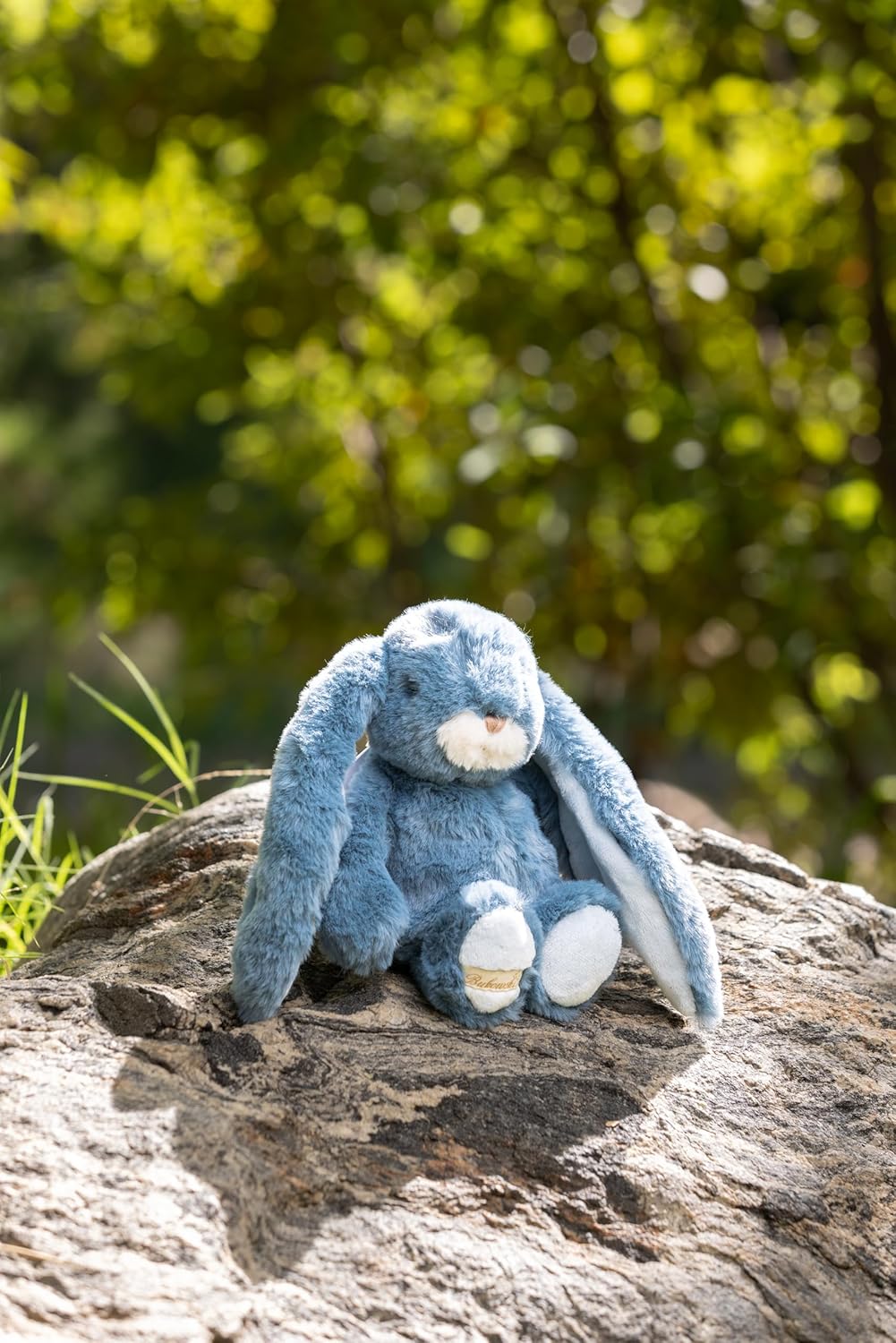 Bukowski Bears Junior Kanini, Fjord Blue Plush - Raymond's Hallmark