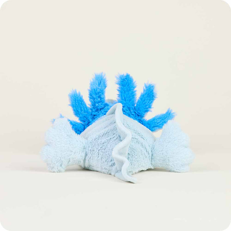 Blue Axolotl Warmies - Raymond's Hallmark