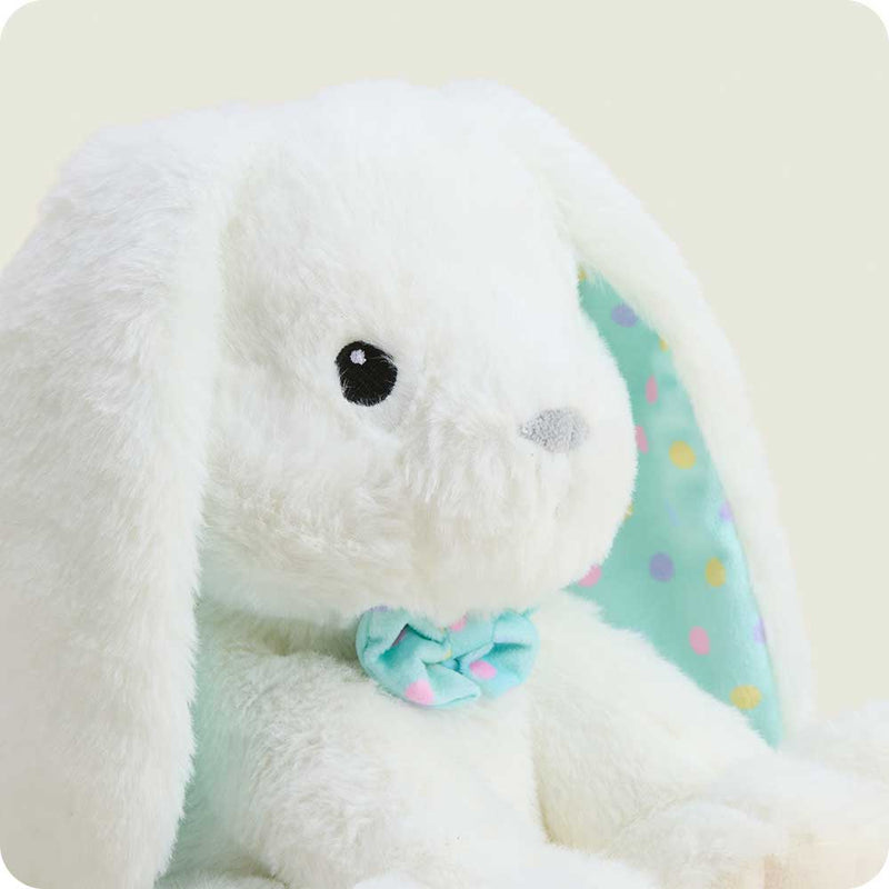 Easter Bunny Warmies - Raymond's Hallmark