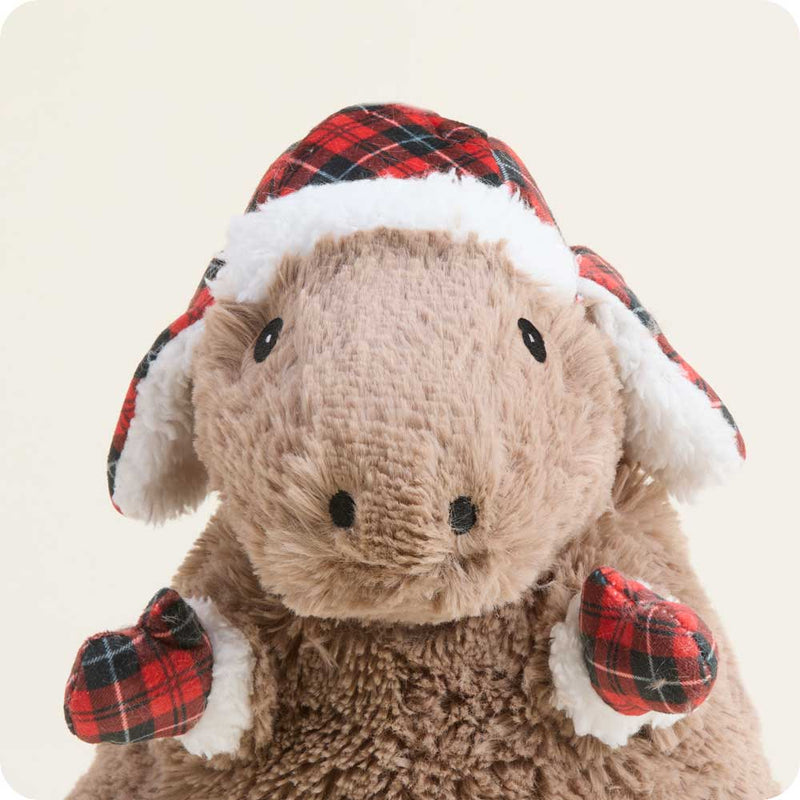 Capybara Warmies - Raymond's Hallmark