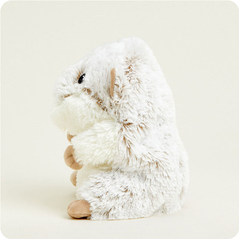 Hamster Warmies - Raymond's Hallmark