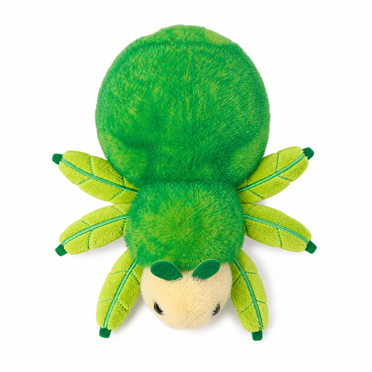 Larry Leaf Bug - Raymond's Hallmark
