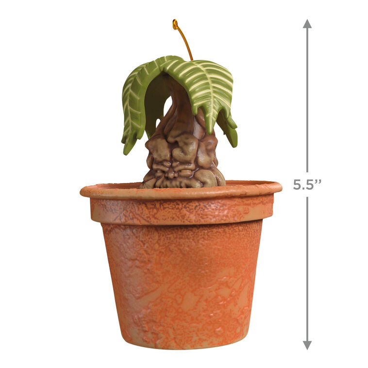 Mandrake Ornament - Raymond's Hallmark