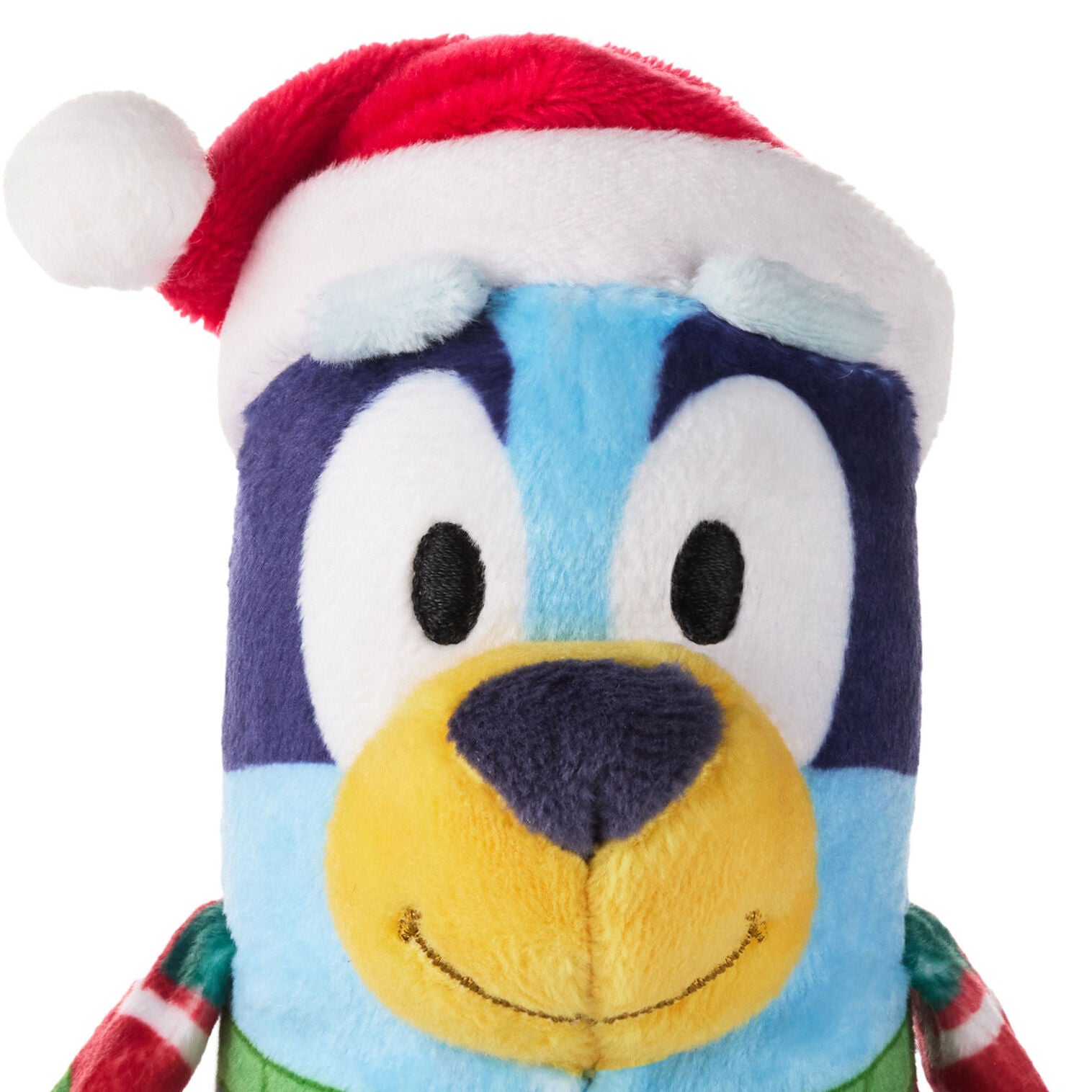 Itty Bitty Bluey - Raymond's Hallmark