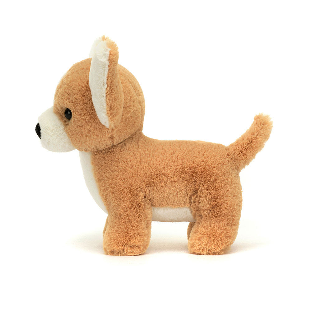 Isobel Chihuahua - Raymond's Hallmark