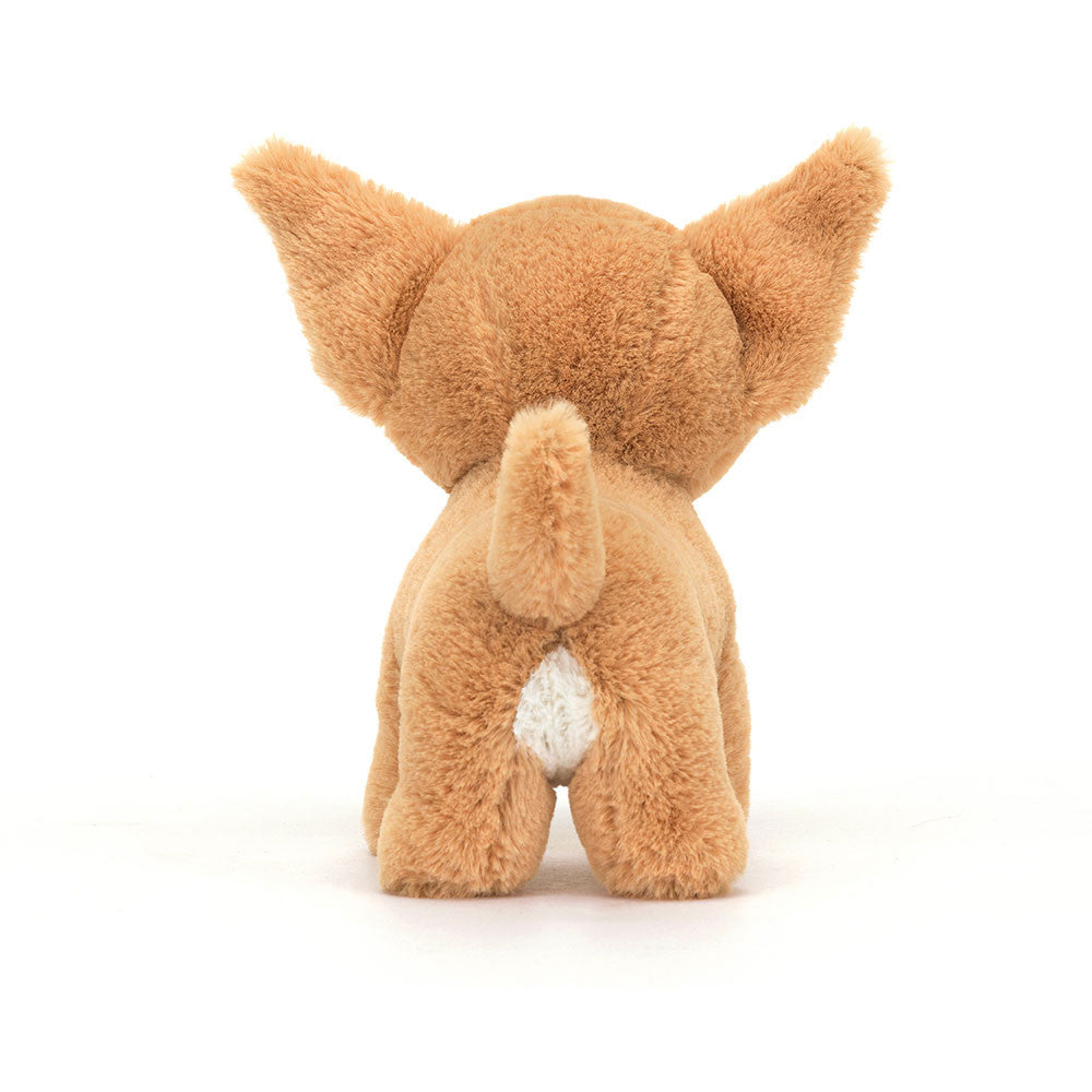 Isobel Chihuahua - Raymond's Hallmark