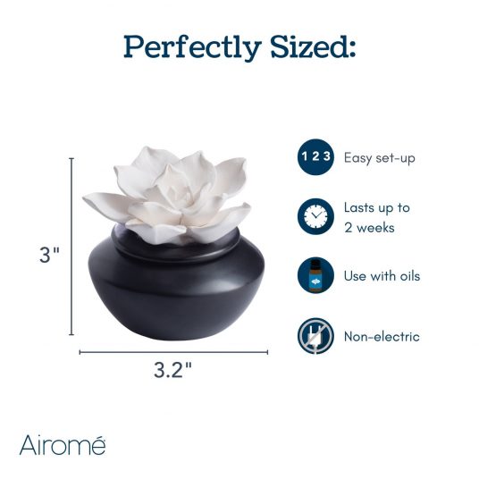Porcelain Aroma Diffuser Gardenia with Peppermint Oil - Raymond's Hallmark