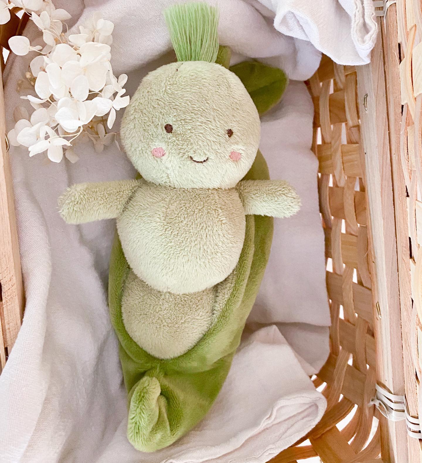 Mon Ami Pia Pod - Raymond's Hallmark