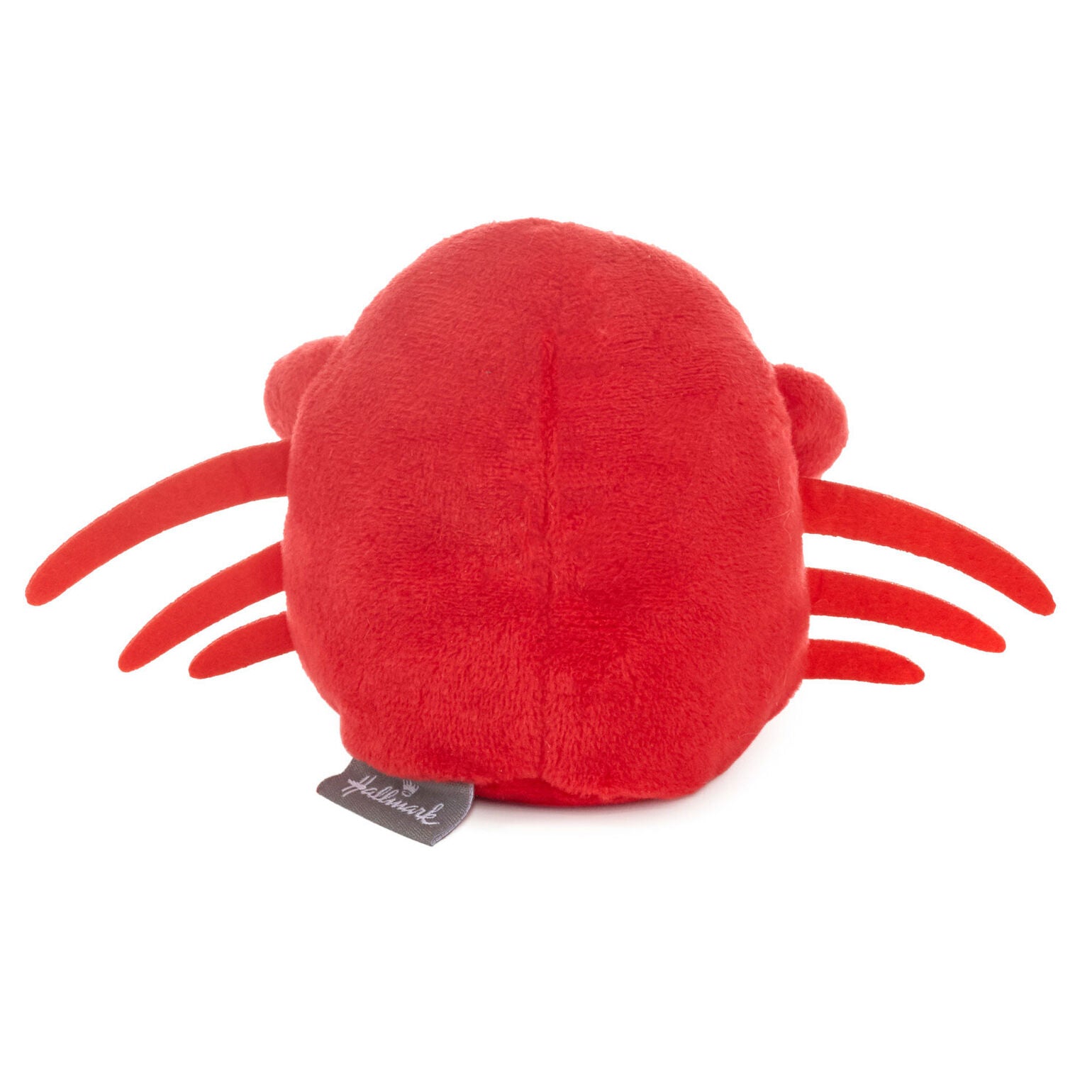 Gift Card Holder - Raymond's Hallmark