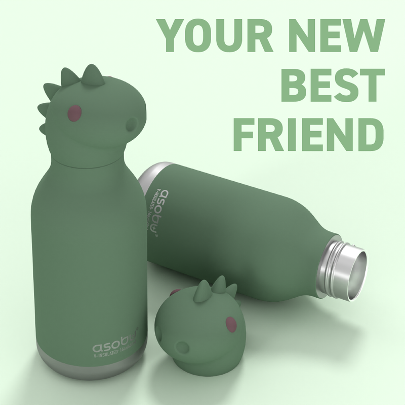 Vacuum Insulated Water Bottle Dinosaur - Raymond's Hallmark