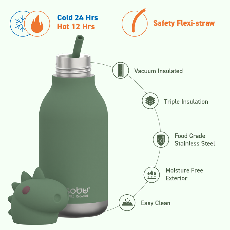Vacuum Insulated Water Bottle Dinosaur - Raymond's Hallmark